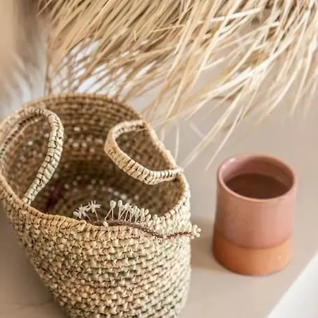 ヴィラ Naos Ioulis